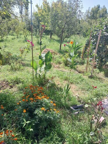 Продаётся 4-комн. дом/дача 200 м², photo 11 from 30