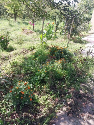 Продаётся 4-комн. дом/дача 200 м², photo 12 from 30