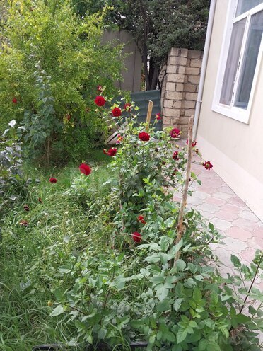 Продаётся 4-комн. дом/дача 200 м², photo 9 from 30