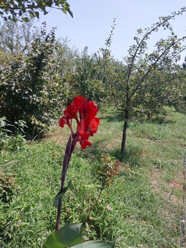 Продаётся 4-комн. дом/дача 200 м², photo 14 from 30