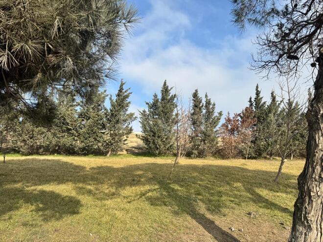 Продаётся  участок 30 сот, Абшеронcкий  р., photo 8 from 10