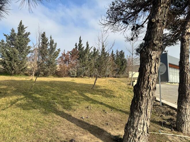 Продаётся  участок 30 сот, Абшеронcкий  р., photo 4 from 10