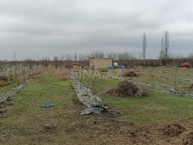 Продаётся  участок 34 сот, Хачмазский р., photo 11 from 12