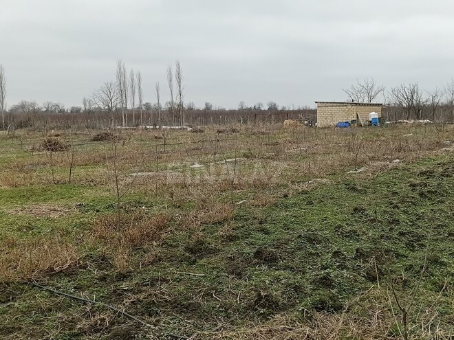 Продаётся  участок 34 сот, Хачмазский р., photo 7 from 12