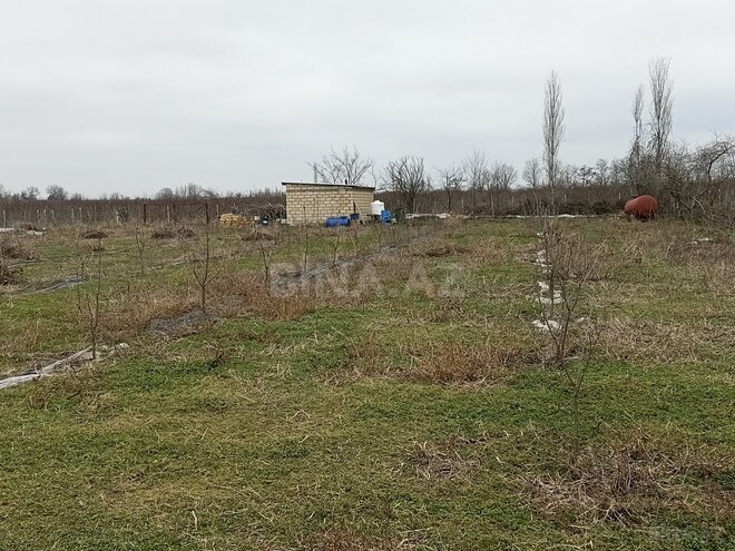 Продаётся  участок 34 сот, Хачмазский р., photo 10 from 12