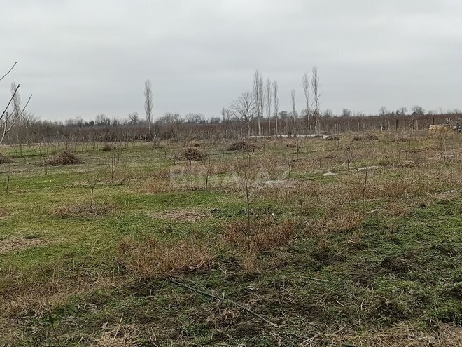 Продаётся  участок 34 сот, Хачмазский р., photo 8 from 12