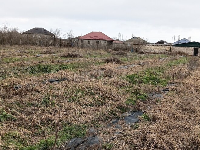 Продаётся  участок 34 сот, Хачмазский р., photo 5 from 12