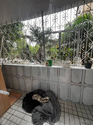 Продаётся  объект 100 м², м. Элмляр Академиясы, photo 20 from 29