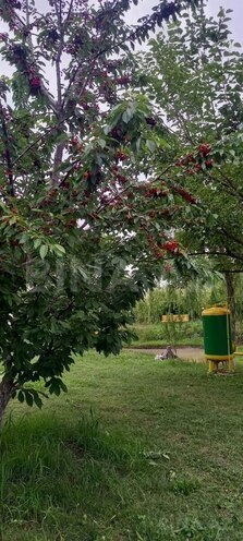 Satılır  torpaq 174 sot, photo 4 from 18