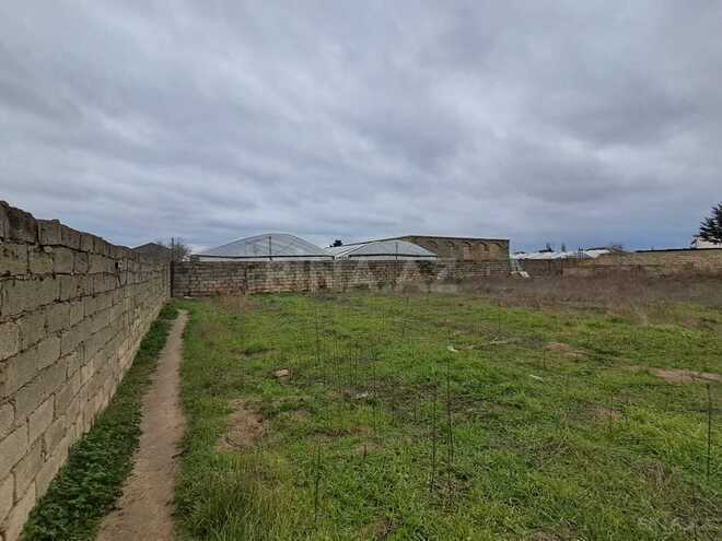 Satılır  torpaq 7 sot, Albalılıq q., photo 6 from 7