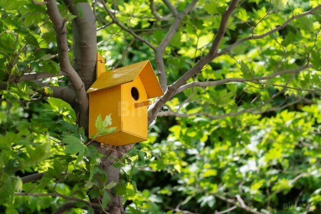 İcarəyə verilir 3 otaqlı yeni tikili 170 m², Nizami m., photo 22 from 25