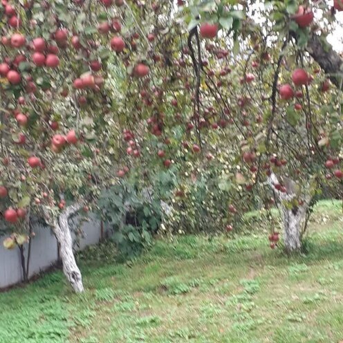 Продаётся  участок 11 сот, photo 6 from 10