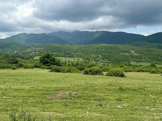 Продаётся  участок 400 сот, photo 5 from 13