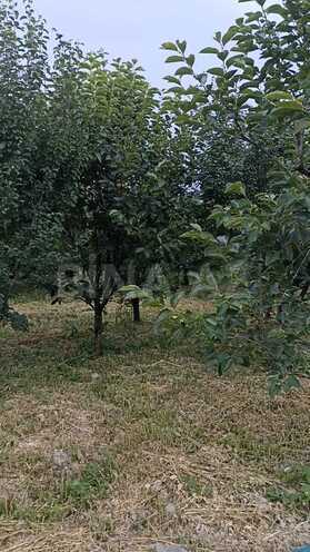 Продаётся  участок 132 сот, photo 4 from 13