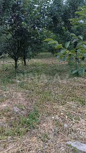 Продаётся  участок 132 сот, photo 10 from 13