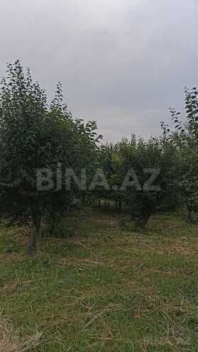 Продаётся  участок 132 сот, photo 7 from 13