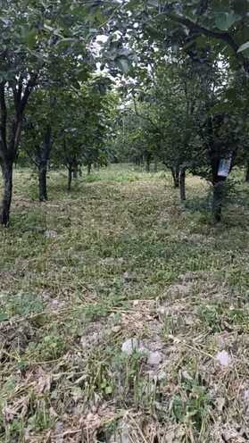 Продаётся  участок 132 сот, photo 9 from 13