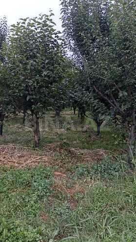 Продаётся  участок 132 сот, photo 12 from 13