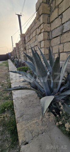 Продаётся 3-комн. дом/дача 60 м², пос. Геокмалы, photo 5 from 19