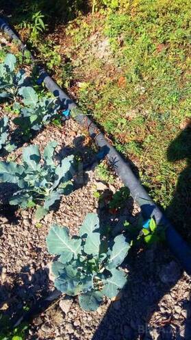 Satılır  torpaq 180 sot, Xaçmaz r., photo 9 from 24