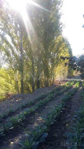 Satılır  torpaq 180 sot, Xaçmaz r., photo 7 from 24