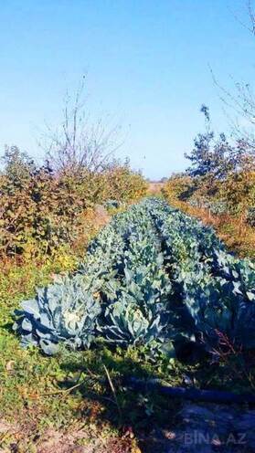 Satılır  torpaq 180 sot, Xaçmaz r., photo 4 from 24