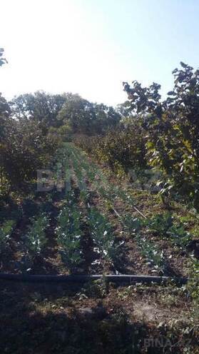 Satılır  torpaq 180 sot, Xaçmaz r., photo 3 from 24