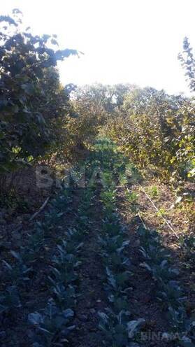 Satılır  torpaq 180 sot, Xaçmaz r., photo 6 from 24