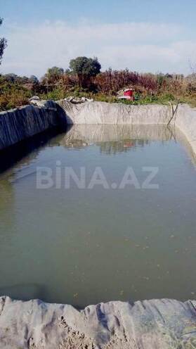 Satılır  torpaq 180 sot, Xaçmaz r., photo 8 from 24