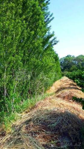 Satılır  torpaq 180 sot, Xaçmaz r., photo 18 from 24