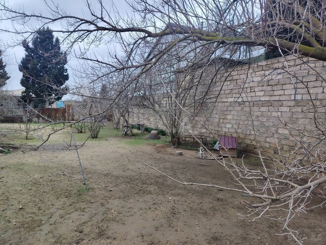 Satılır  torpaq 4 sot, Albalılıq q., photo 6 from 11