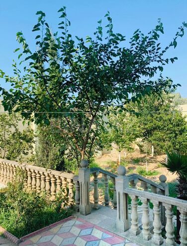 Satılır 4 otaqlı həyət evi/bağ evi 210 m², Pirşağı q., photo 11 from 13