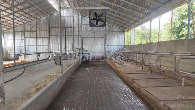 Satılır  obyekt 800 m², photo 3 from 9