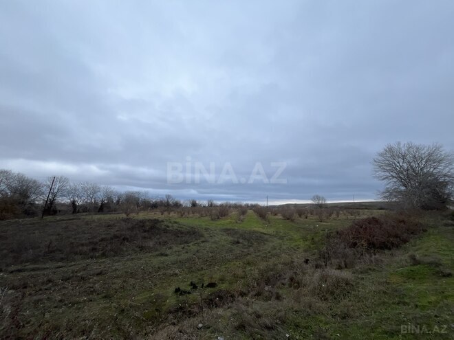 Satılır  torpaq 600 sot, photo 8 from 16