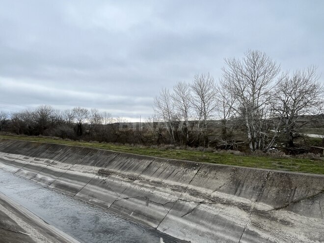 Satılır  torpaq 600 sot, photo 13 from 16