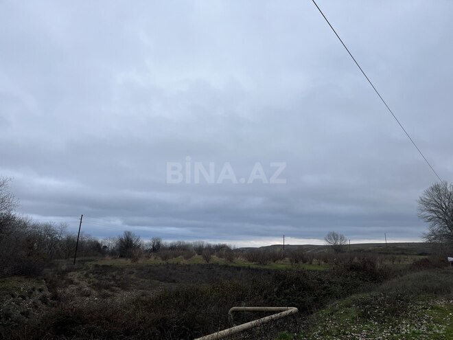 Satılır  torpaq 600 sot, photo 10 from 16