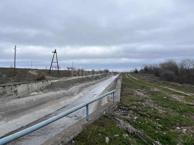 Satılır  torpaq 600 sot, photo 11 from 16