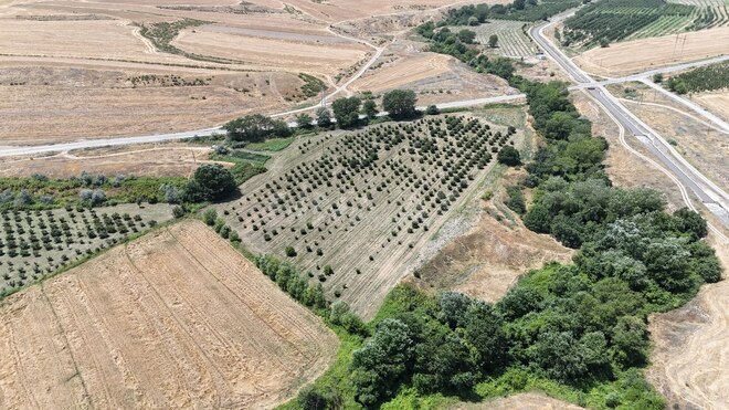 Satılır  torpaq 600 sot, photo 4 from 16