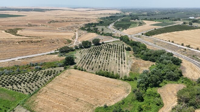 Satılır  torpaq 600 sot, photo 6 from 16