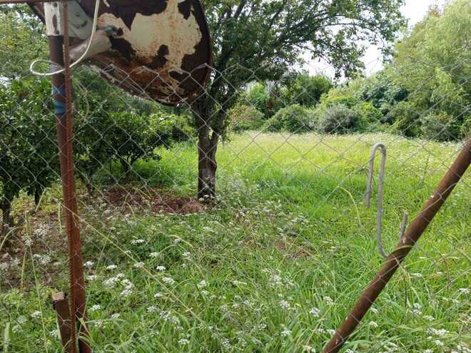 Продаётся 4-комн. дом/дача 120 м², Астара р., photo 8 from 9