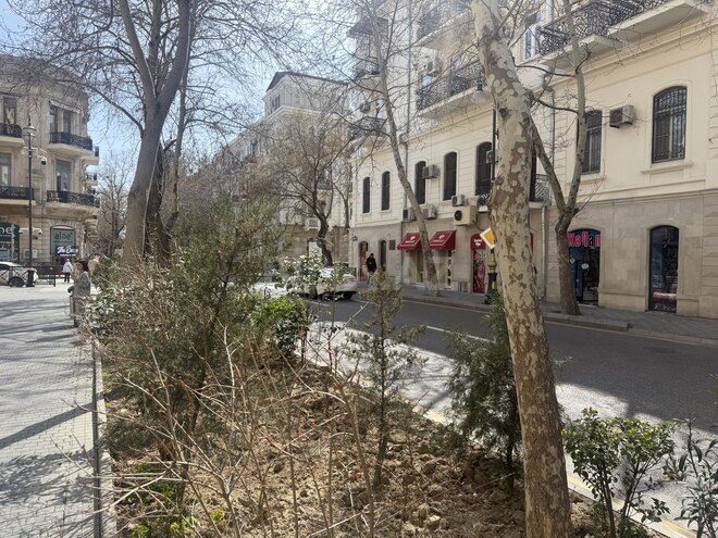 İcarəyə verilir  obyekt 100 m², Sahil m., photo 5 from 6