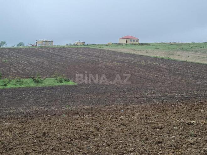 Satılır  torpaq 100 sot, photo 15 from 17