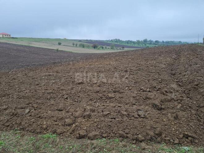 Satılır  torpaq 100 sot, photo 4 from 17