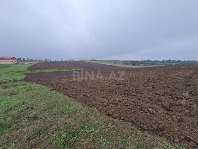 Satılır  torpaq 100 sot, photo 8 from 17