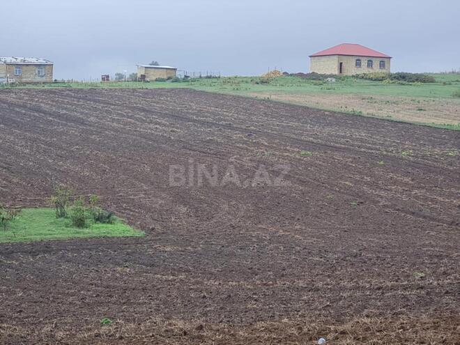 Satılır  torpaq 100 sot, photo 16 from 17