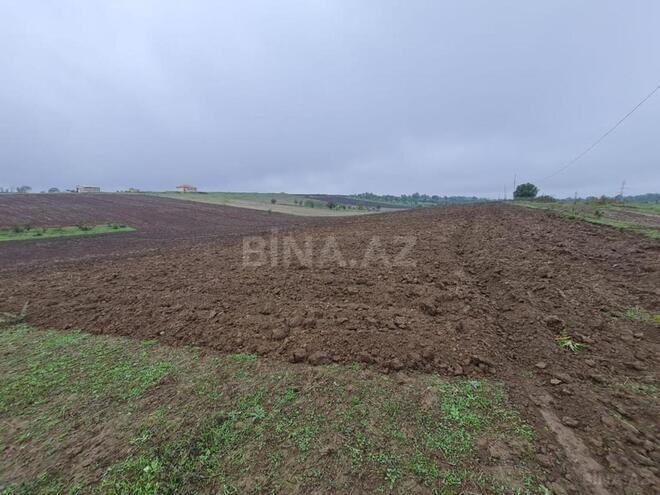 Satılır  torpaq 100 sot, photo 11 from 17