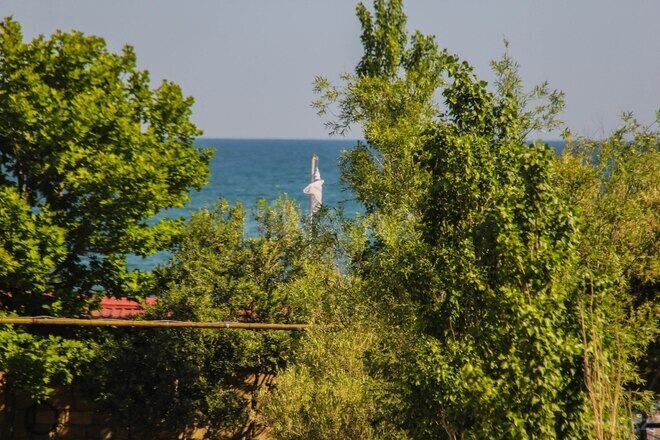 Продаётся  объект 11 000 м², пос. Локбатан, photo 27 from 32