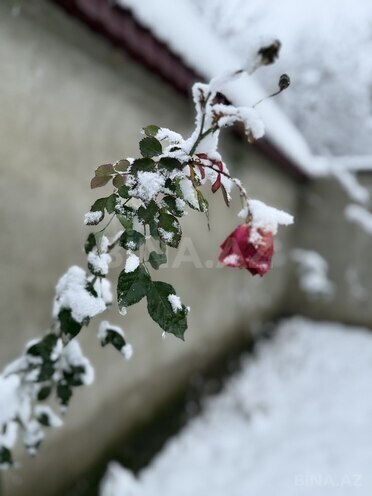 Сдаётся 3-комн. дом/дача 100 м², photo 4 from 26