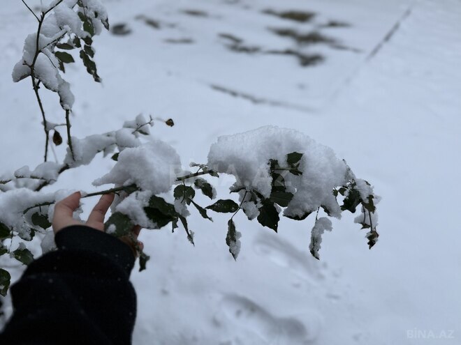 Сдаётся 3-комн. дом/дача 100 м², photo 8 from 26