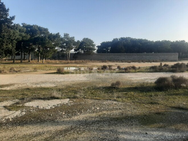 Продаётся  участок 30 сот, пос. Бина, photo 3 from 6